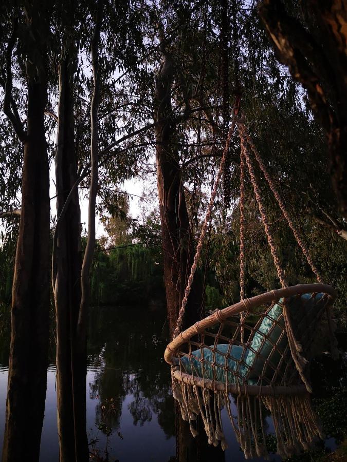 Lone Wolf's Lair Villa Parys