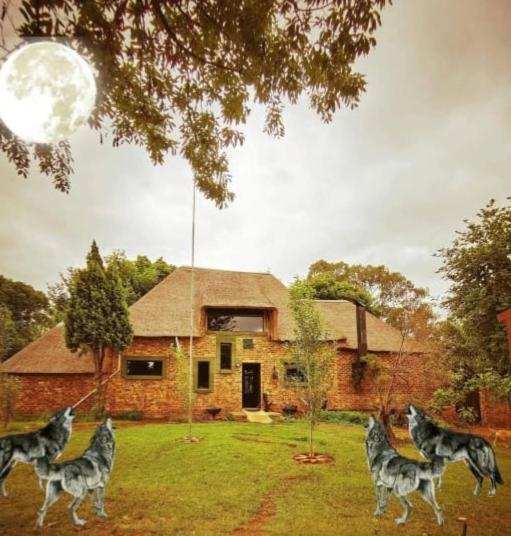 Lone Wolf's Lair Villa *